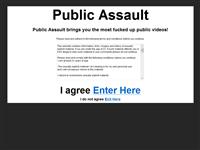 www.publicassault.com