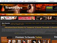 www.transgays.com